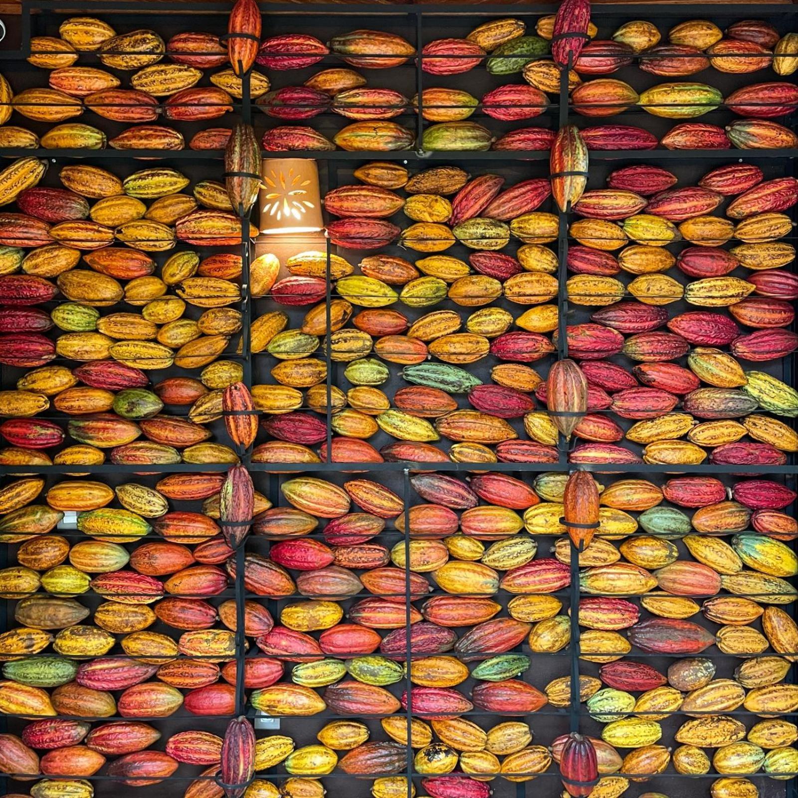 Chocolate Hotel Itacare Exterior photo